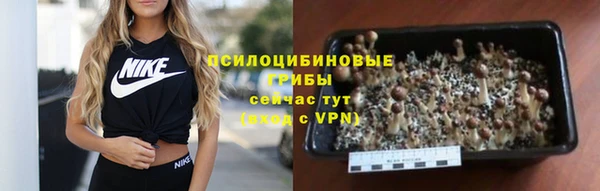 СК Богородицк