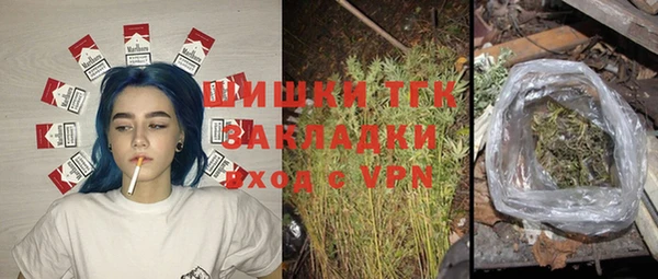 СК Богородицк